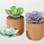 Stained Glass Succullent