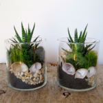 MarchTerrariums