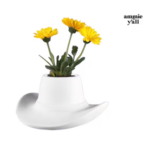 Screenshot 2026-03-07 12.16.17 AM