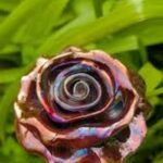 raku-peony-firing-event-2026-350