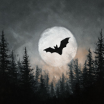 Full Moon Painting Class